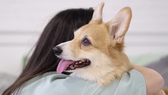 Young Teen Girl Hugging Corgi Dog with Love