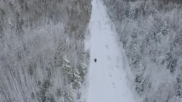 Aerial View of Winter Landscape with the Snow Covered Field and Trees in Countryside Region