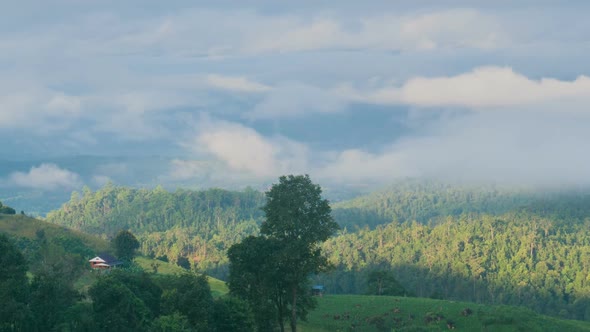 Mountain Landscape