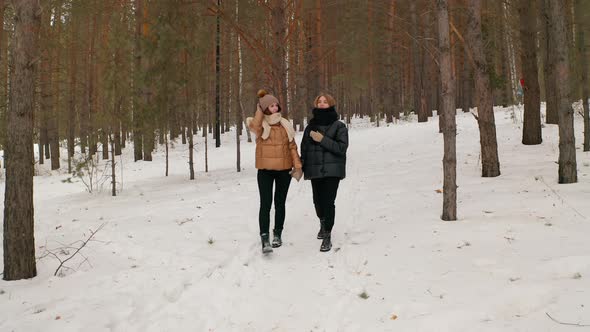 Lesbians' winter walk LGBT Lesbian Bisexual Transgender Lesbian concept Love