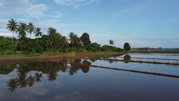 Move toward reflection of coconut trees