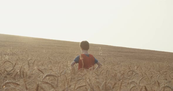 Young boy stands in a golden field during sunset - raising his hands in victory