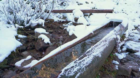 Small Spring with Clean Transparent Water Among the Forest in the Carpathian Mountains