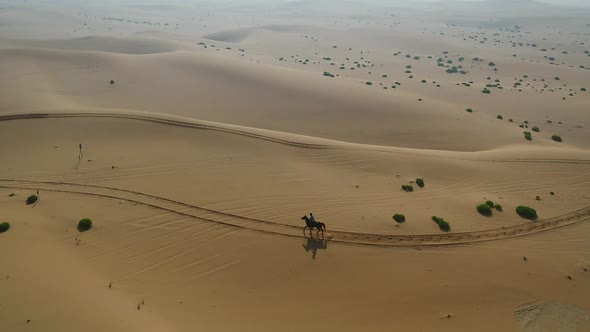 Aerial view of one person riding horse in the desert of Al Khatim in Abu Dhabi.