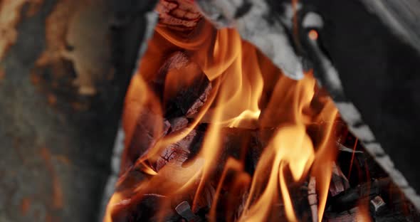 Bonfire Burning Trees, Close Up Camping Fire, Burning Firewood, Slow Motion. Close Up