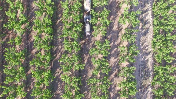 Cenital Out Spraying with the Tractor