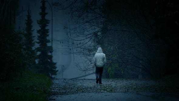 Man Walks In Dark Landscape - Sadness, Isolation Concept