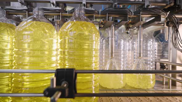Automatic Line for Filling Bottles with Sunflower Oil