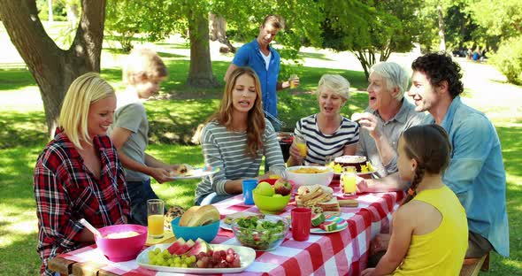 Family having picnic in the park alt