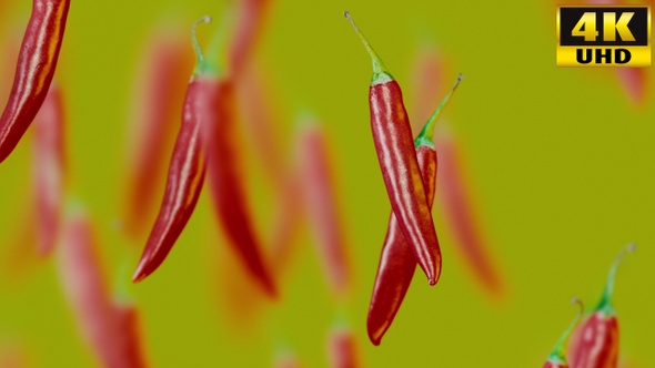 Red Hot Pepper Background Loops Pack V1