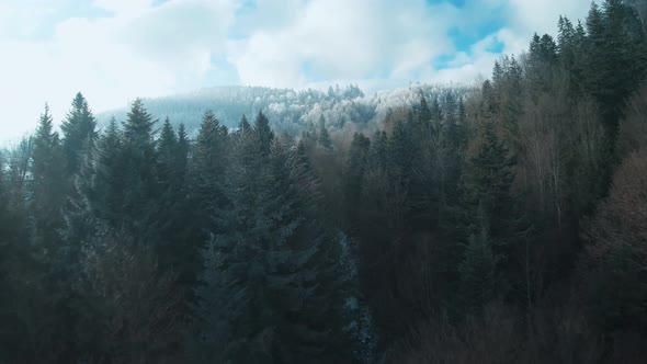 Aerial View of the Carpathian Mountains in Winter