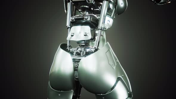 Sexy Robot Android Woman Cyborg alt