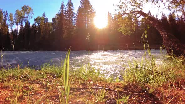 Meadow at Mountain River Bank