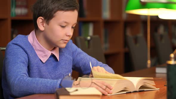 Portrait of Schoolboy Doing Their Homework in Library or Room