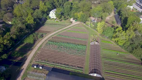 AERIAL: Elevated flyover of a working farm in Austin, Texas revealing rows of greenery.