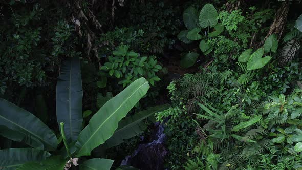 Drone aerial footage of beautiful landscape in tropical rainforest of south of Asia