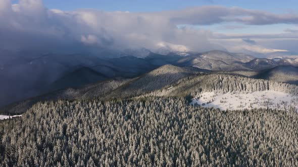 Aerial Drone Shot of Snowfall in Winter Mountains. Windstorm above Snow Forest