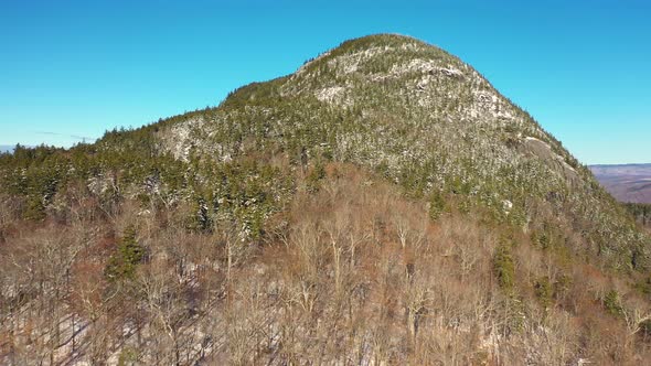 Aerial footage flying over the transition from deciduous to coniferous trees on the side of a mounta