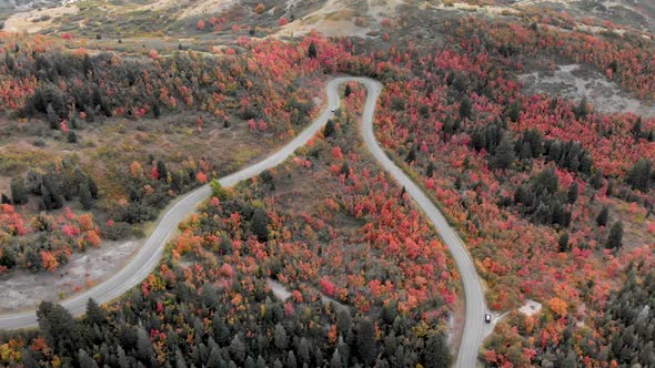 Aerial shot over the autumn trees as cars drive up Utah's Squaw Peak Road.