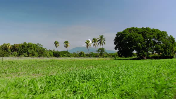 Fast aerial rising shot over a farm near Colima in Mexico at midday.