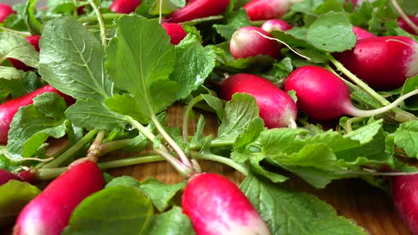 Radish Fruits