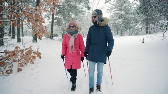 Hiker Practicing Nordic Walking In Forest. Sticks Walking On Winter Forest. Hiker Hiking Sport.