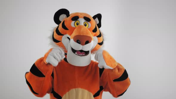 Man in Tiger Costume Dances on a White Winter Background