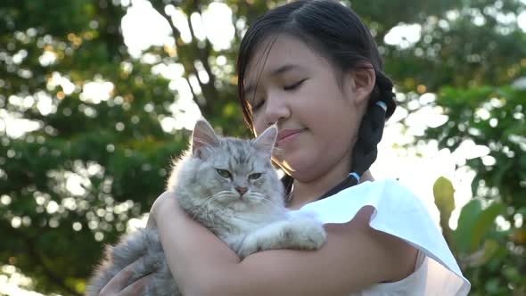 Beautiful Asian Girl Holding Lovely Persian Cat With Sunshine In The Park 