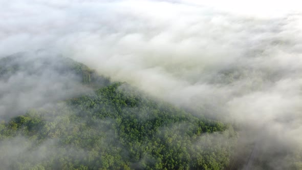 Forest in the fog aerial view. Morning autumn landscape at sunset