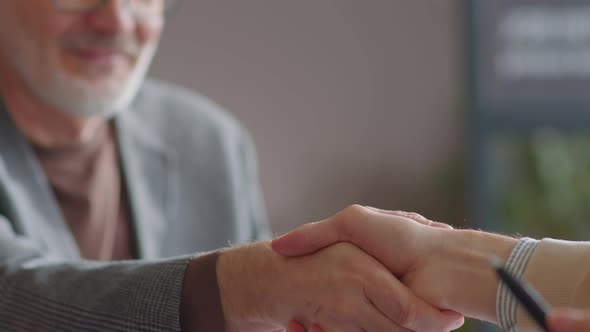 Senior Businessman Shaking Hands and Talking with Colleague