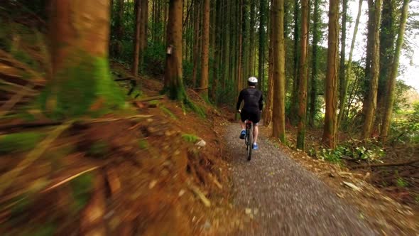 Man riding bicycle in forest