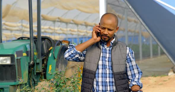 Man talking on mobile phone in blueberry farm 4k