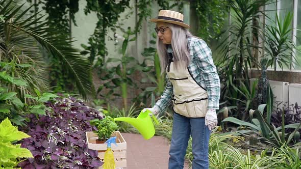 Woman in Straw Hat Working in Greenhouse and Watering Pots with Flowers