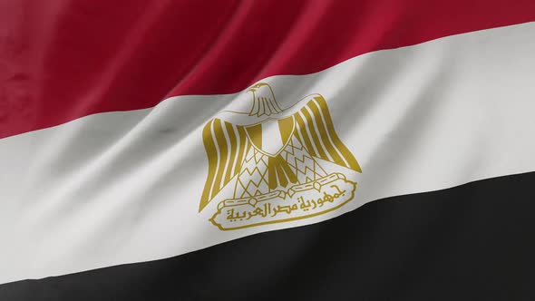 Egyptian flag waving in the wind.