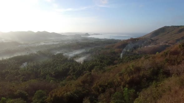 Aerial view of tropical forest during the morning light, Bali, Indonesia.