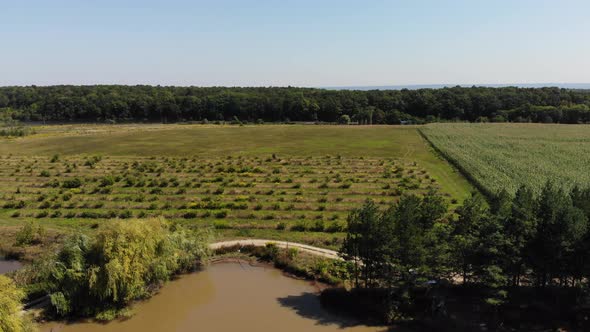 Aerial view of the meadow, forest and lakes.