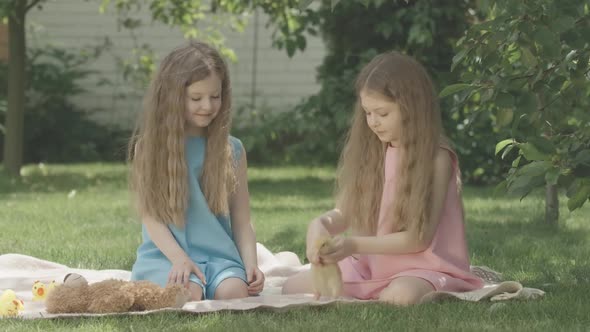 Twin Sisters with Long Curly Brunette Hair Playing with Ducks on Sunny Summer Day. Portrait of Two