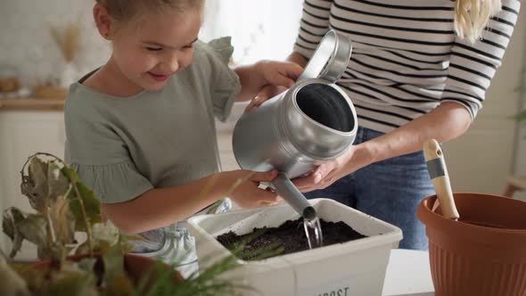 Video of cute little girl watering compost. Shot with RED helium camera in 8K