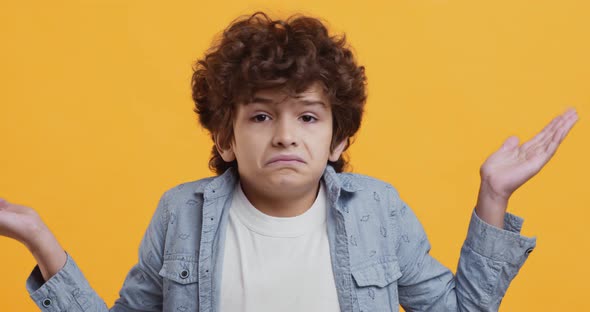 Studio Portrait of Unsure Little Curly Boy Shrugging Shoulders and Shaking Head No, Doubt Concept