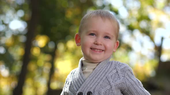Portrait of Cute Toddler Boy Posing in Autumn Park