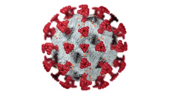 Covid-19 microorganism alt