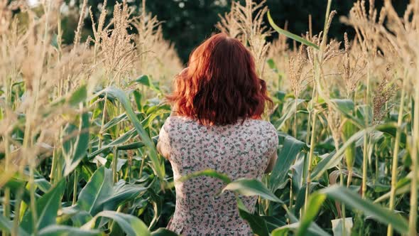 A Young Girl Happily Walking in Slow Motion Through a Corn Field