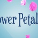 Flower Petals Falling - VideoHive Item for Sale