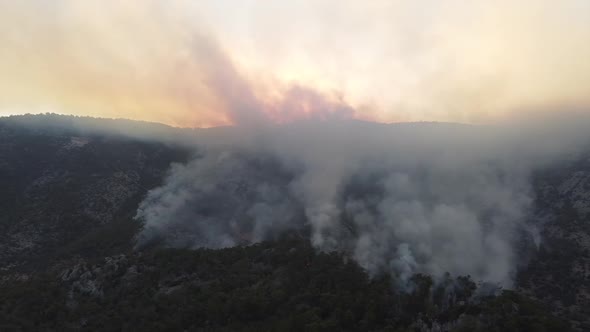 Aerial View of Forest Wildfire