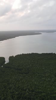 Tanzania  Coast of Zanzibar Island Covered with Thickets Slow Motion