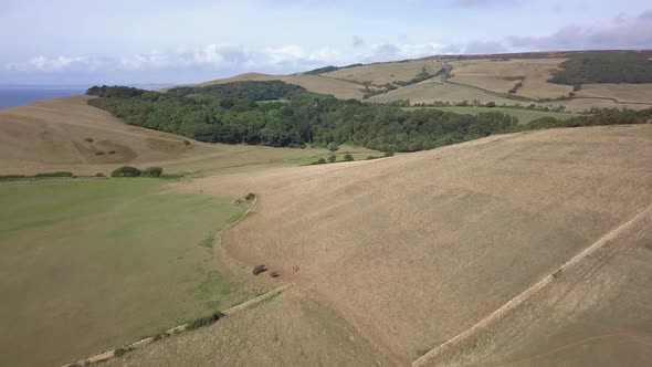 Wide aerial tracking forward towards the subtropical gardens near Abbotsbury, Dorset. Fields, hills