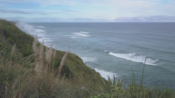 New Zealand coast