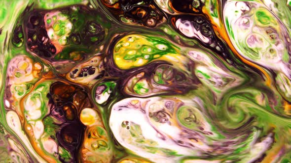 Abstract Colorful Paint Ink Liquid Explode 