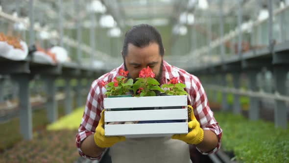 Happy Farmer Sniffing Beautiful Flowers in Greenhouse, Successful Business