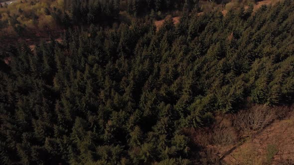 Drone shot travelling backwards out from a forest revealing the Lady Bower Reservoir in the far dist